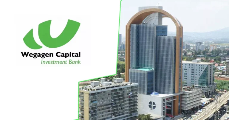 Wegagen Capital Investment Bank